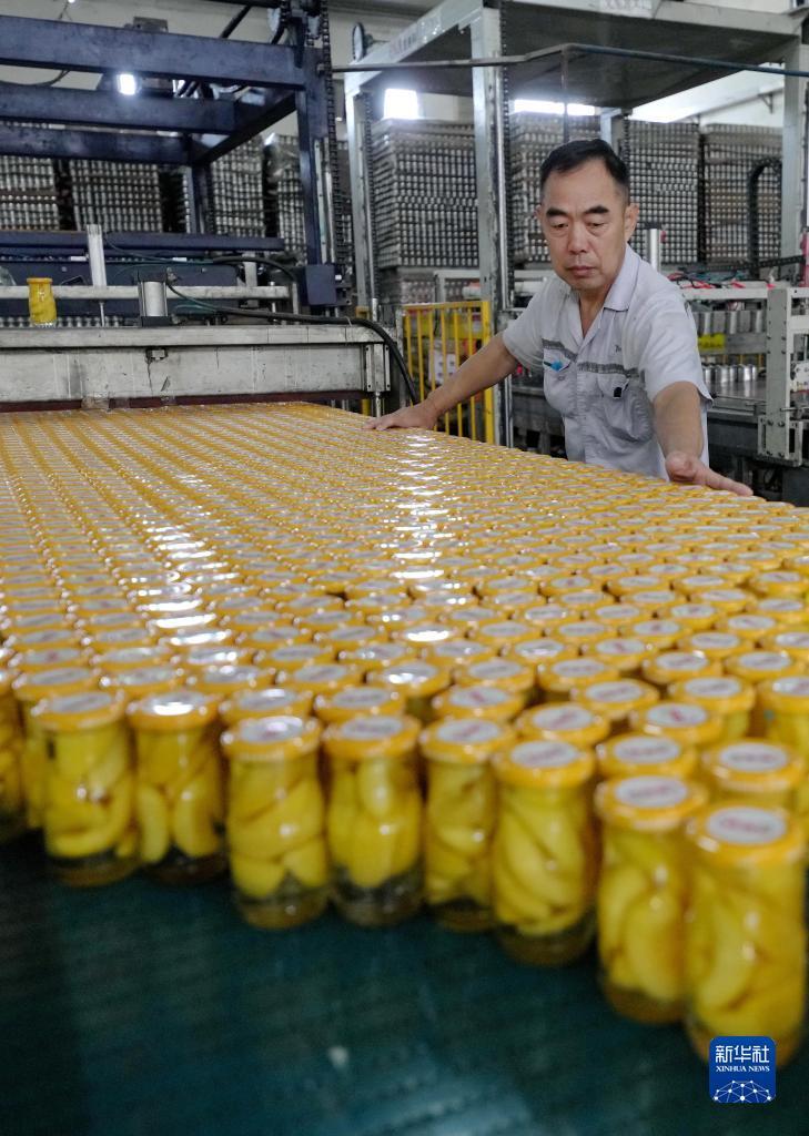 捕鱼游戏电脑版在线下载
